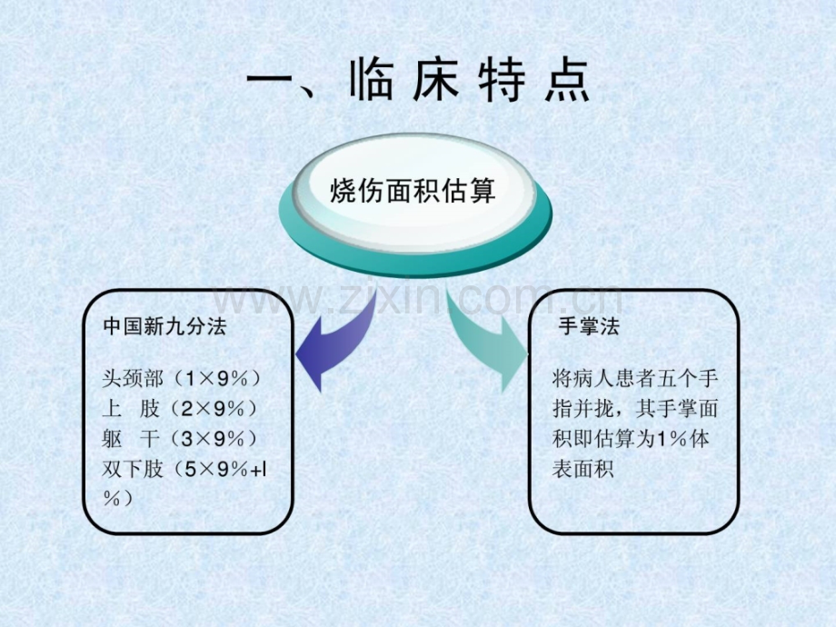 烧伤患者营养支撑治疗.ppt_第3页