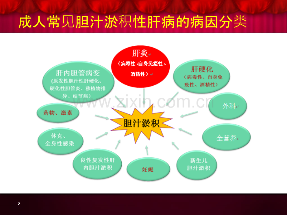 肝、胆的生理结构及功能.ppt_第2页