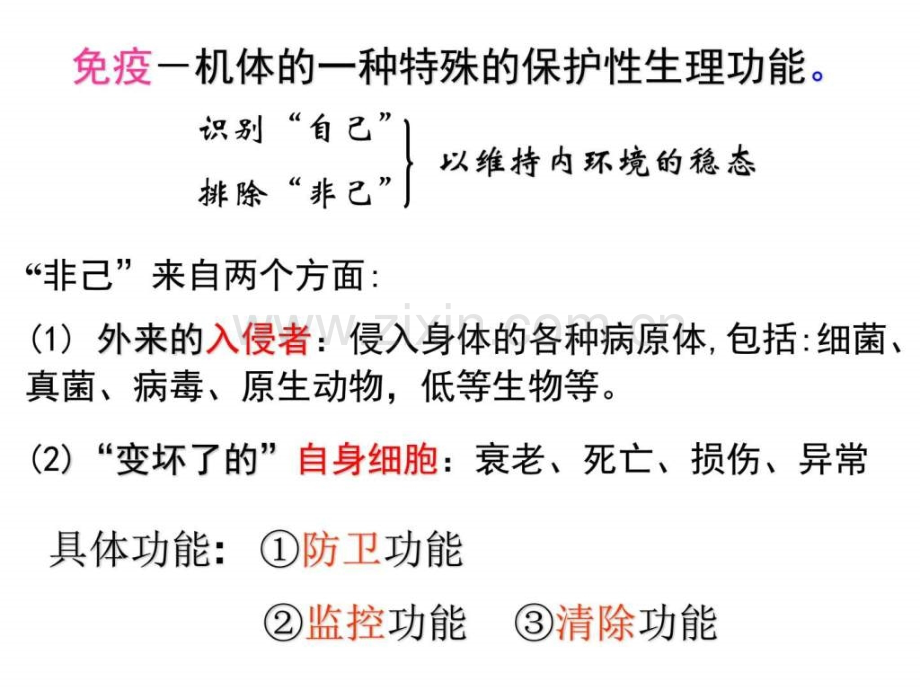 免疫调节-上课用生物学自然科学专业资料.ppt_第3页