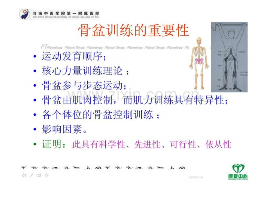 不同体位骨盆训练对偏瘫患者步态影响.ppt_第3页