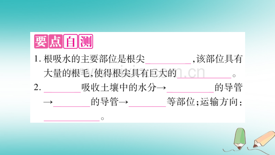 2018秋七年级生物上册-第3单元-第3章-绿色植物与生物圈的水循环习题优质新人教版.ppt_第3页