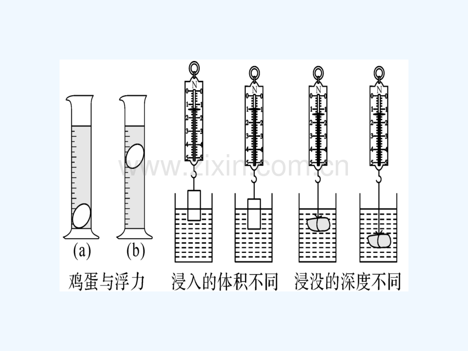 八年级物理全册-第九章-第二节-阿基米德原理(第1课时-浮力大小的影响因素)习题-(新版)沪科版.ppt_第3页