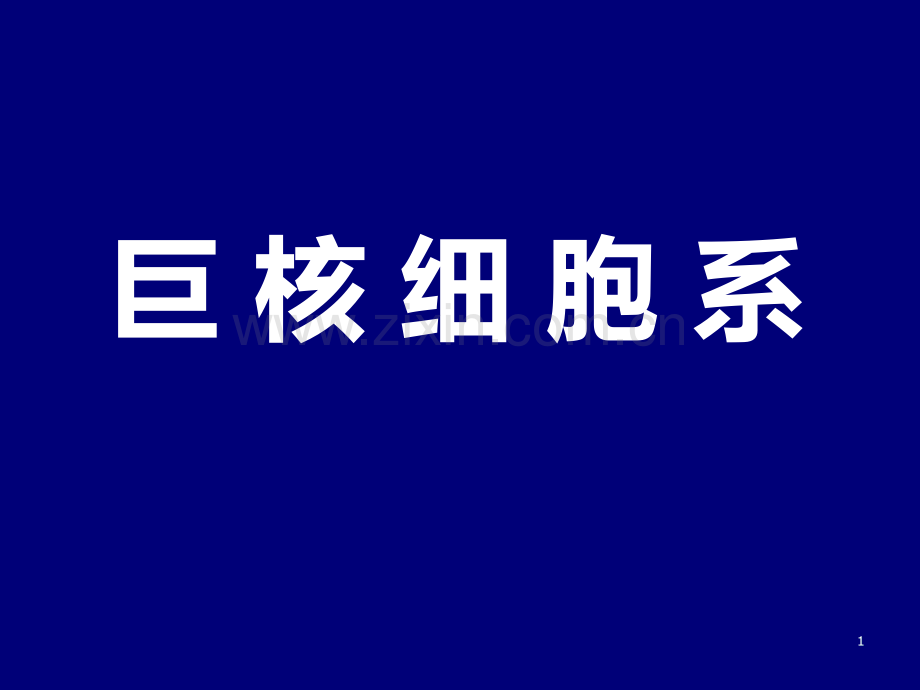 巨核单核淋巴浆细胞理论.ppt_第1页