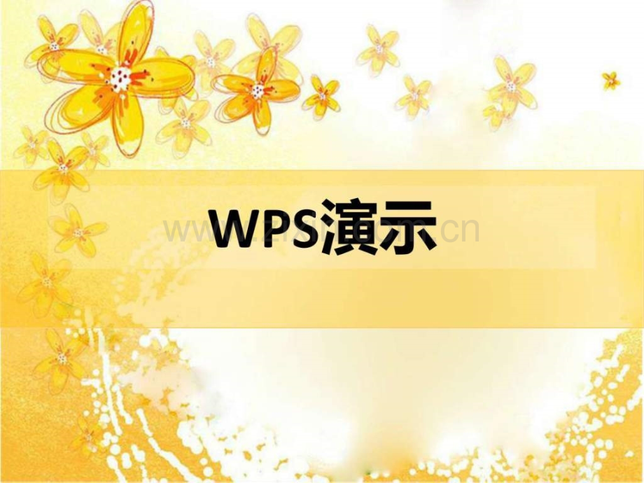 wps(演示文档制作).ppt_第1页