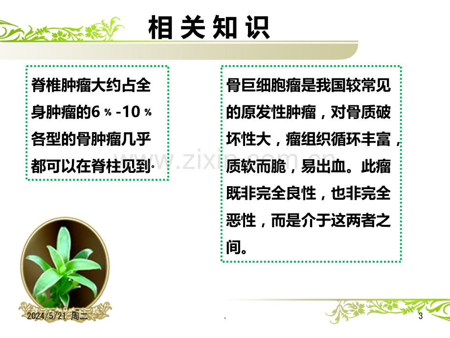 胸椎复发肿瘤切除手术的护理.ppt_第3页