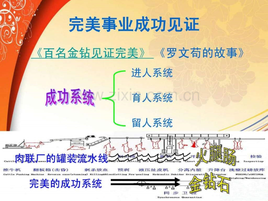 完美价值远景张文英.ppt_第3页