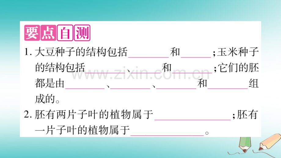 2018秋七年级生物上册-第三单元-第6章-第1节-种子萌发形成幼苗(第1课时)习题优质北师大版.ppt_第3页