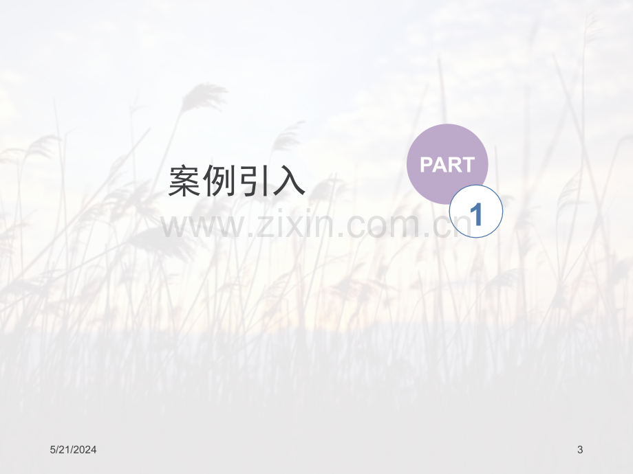 心理定价技巧.ppt_第3页