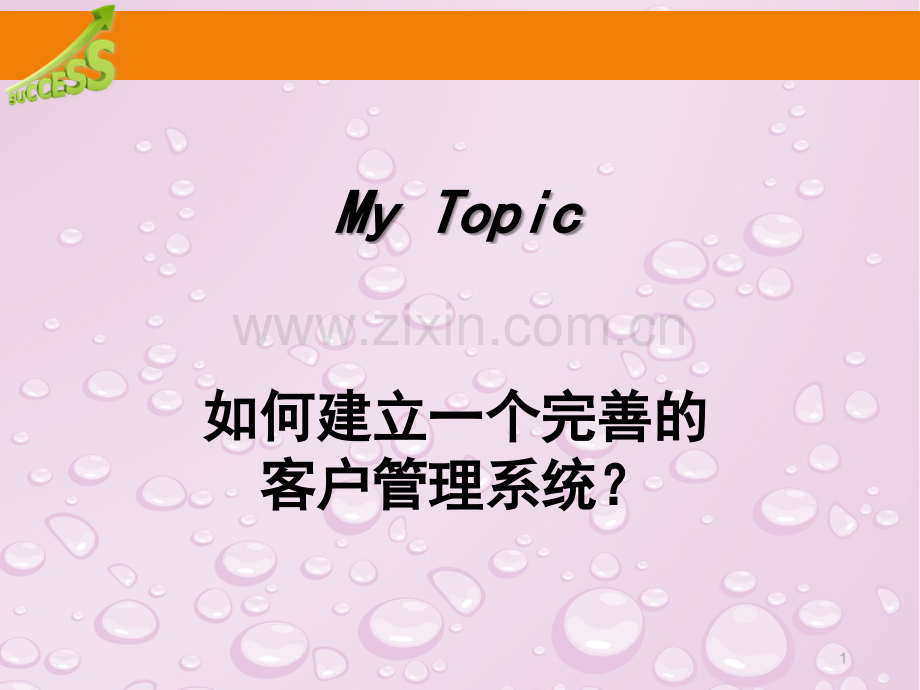 如何建立一个完善的客户管理系统.ppt_第1页