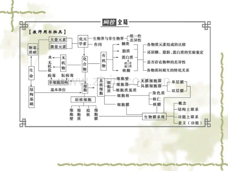 专题一细胞物质与结构基础.ppt_第2页