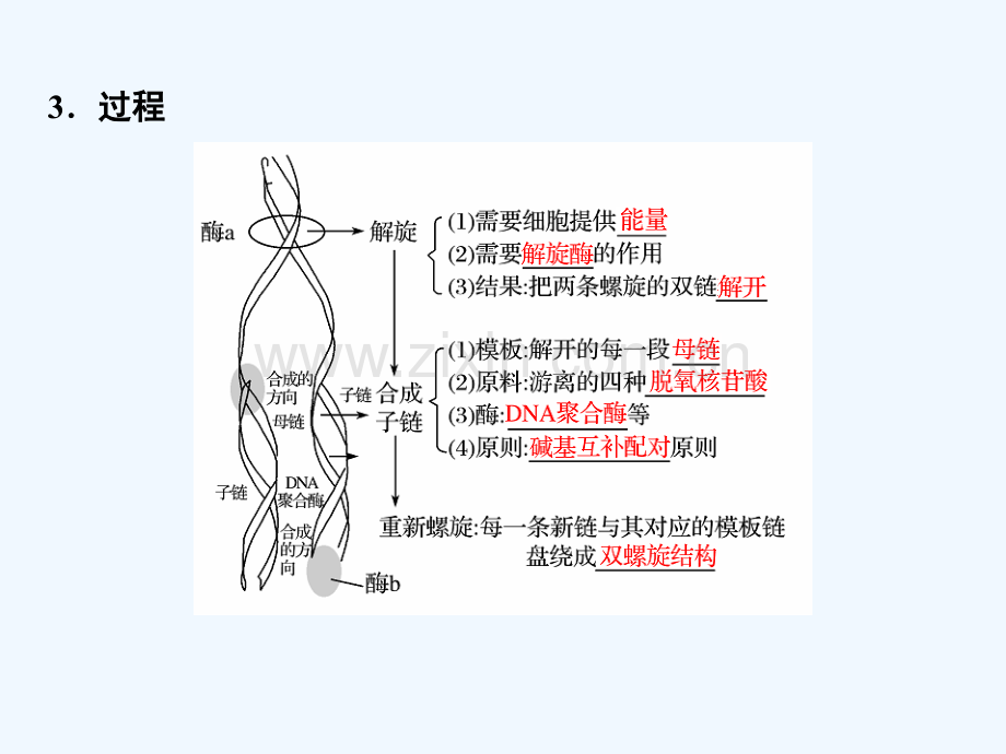 2017-2018学年高中生物-第四章-遗传的分子基础-第13课时-DNA分子的复制-苏教版必修2.ppt_第3页