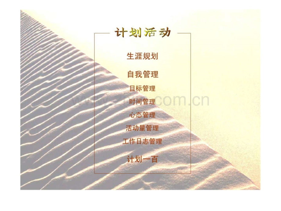 专业化推销流程——计划活动.ppt_第2页