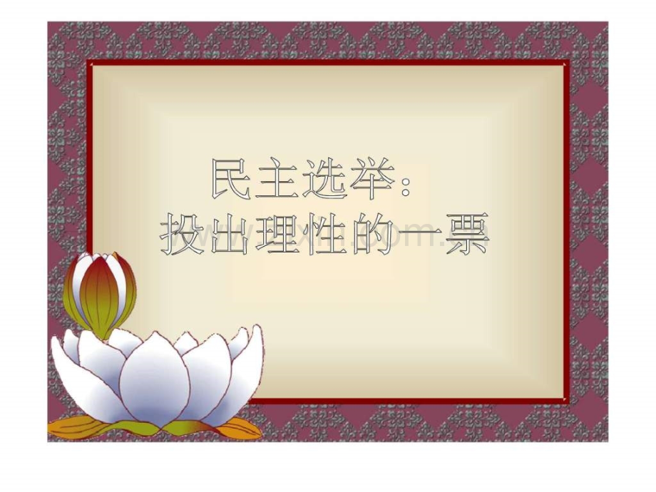 《民主选举投出理性一票》原创.ppt_第3页