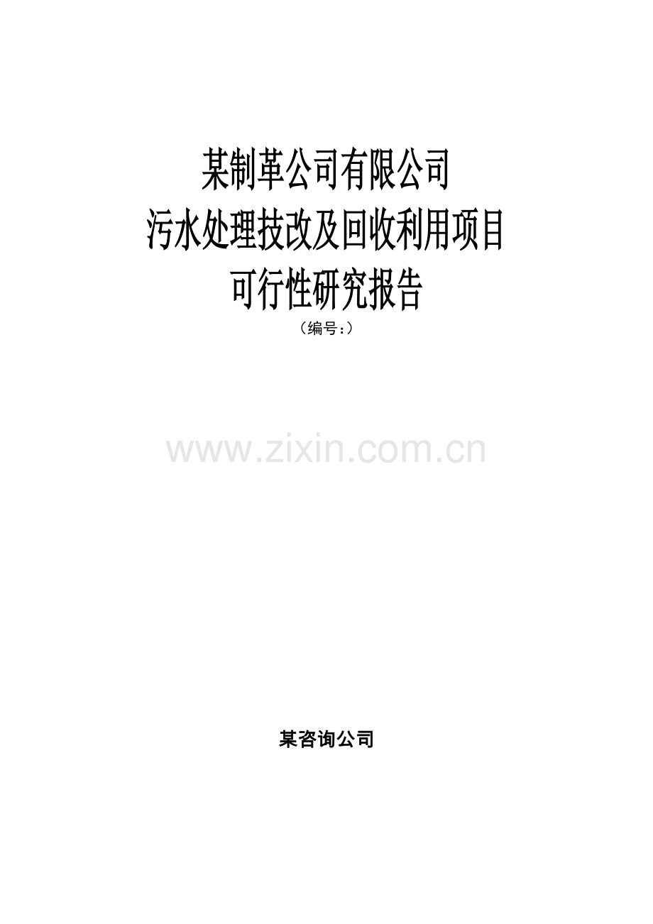 某制革公司有限公司污水处理技改及回收利用项目可行性研究报告书.doc_第1页