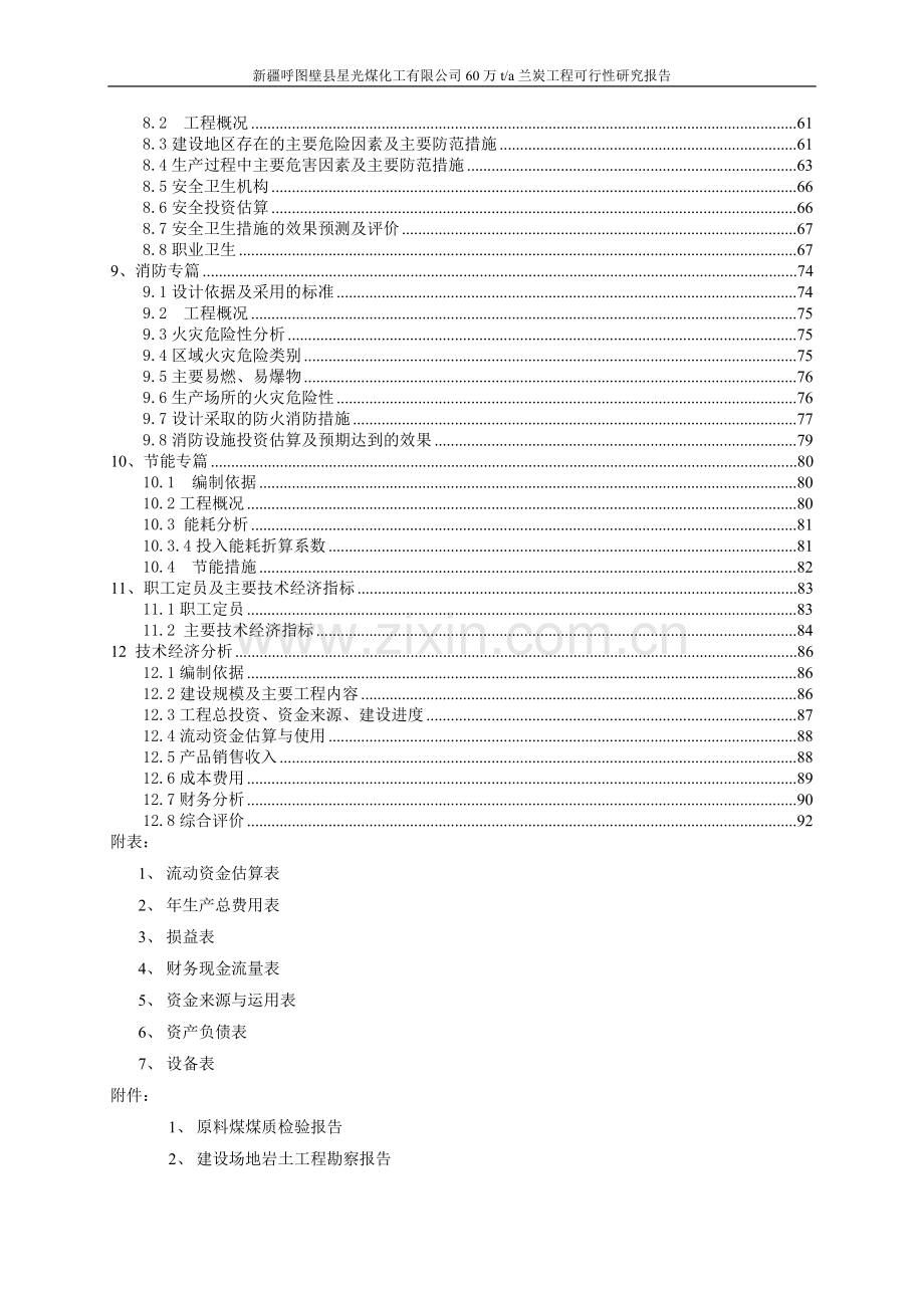 60万吨兰炭工程可行性研究报告.doc_第3页