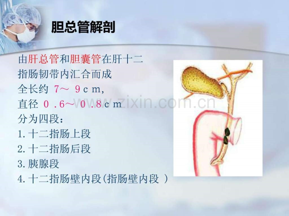 先天性胆总管囊肿患儿护理.ppt_第2页