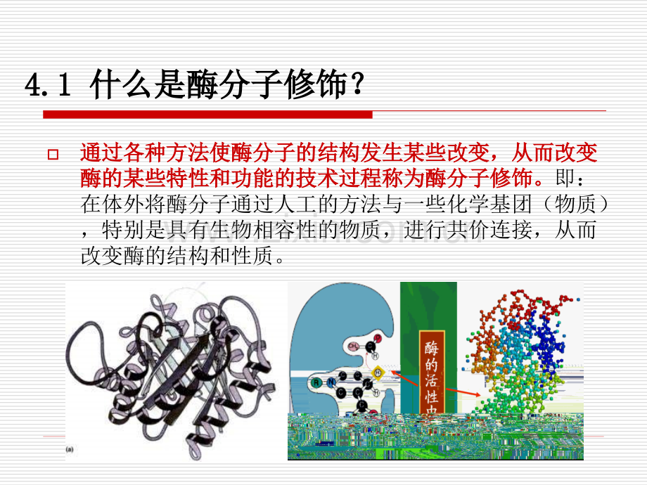 【生物】第四章-酶分子修饰-(NXPowerLite).ppt_第3页