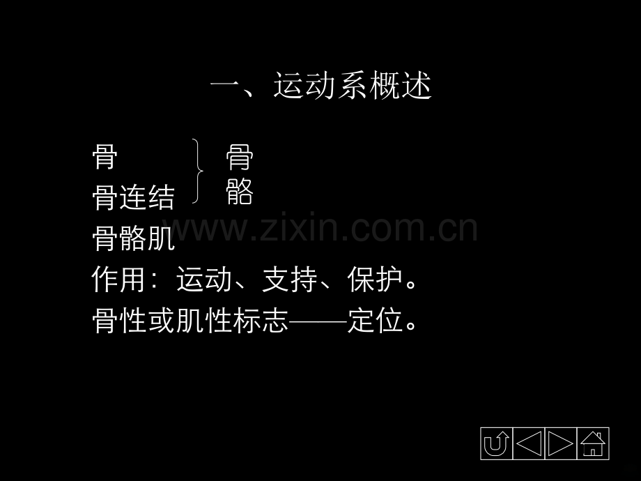 正常人体解剖学——骨学.ppt_第1页