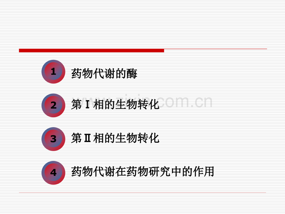 药物化学第四章--药物代谢反应-2.ppt_第2页