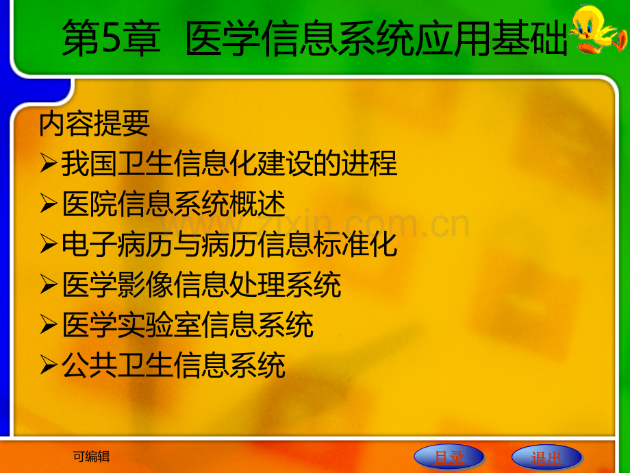 医学信息系统应用基础.ppt_第1页