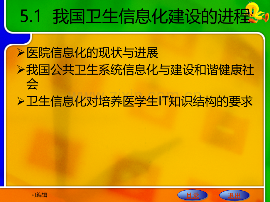 医学信息系统应用基础.ppt_第2页