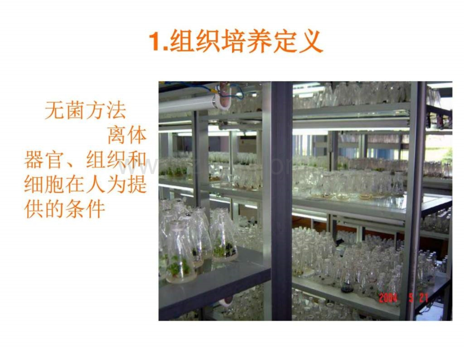 专题3《植物组织培养技术》(1)生物学自然科学专业资料.ppt_第3页