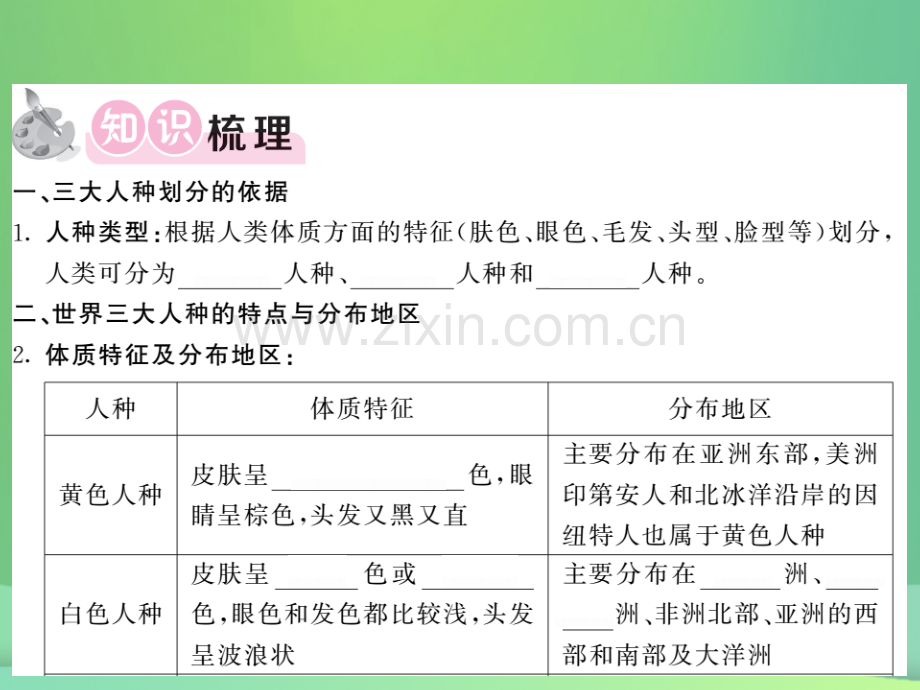 2018秋七年级地理上册-第3章-第二节-世界的人种习题优质湘教版.ppt_第2页