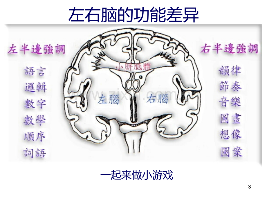 思维导图教程全解-.ppt_第3页