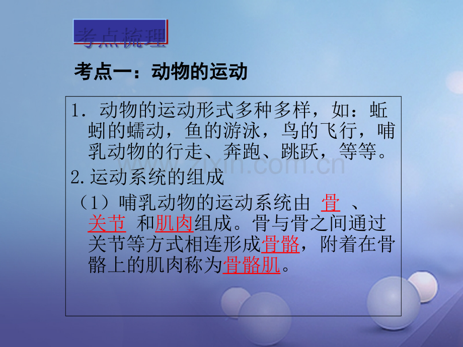 广东省深圳市2017年中考生物总复习-第五单元-第二章-动物的运动和行为.ppt_第3页