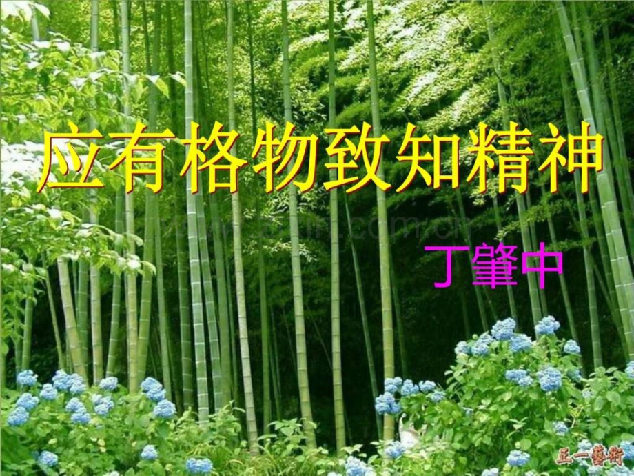 《应有格物致知精神》..ppt_第1页