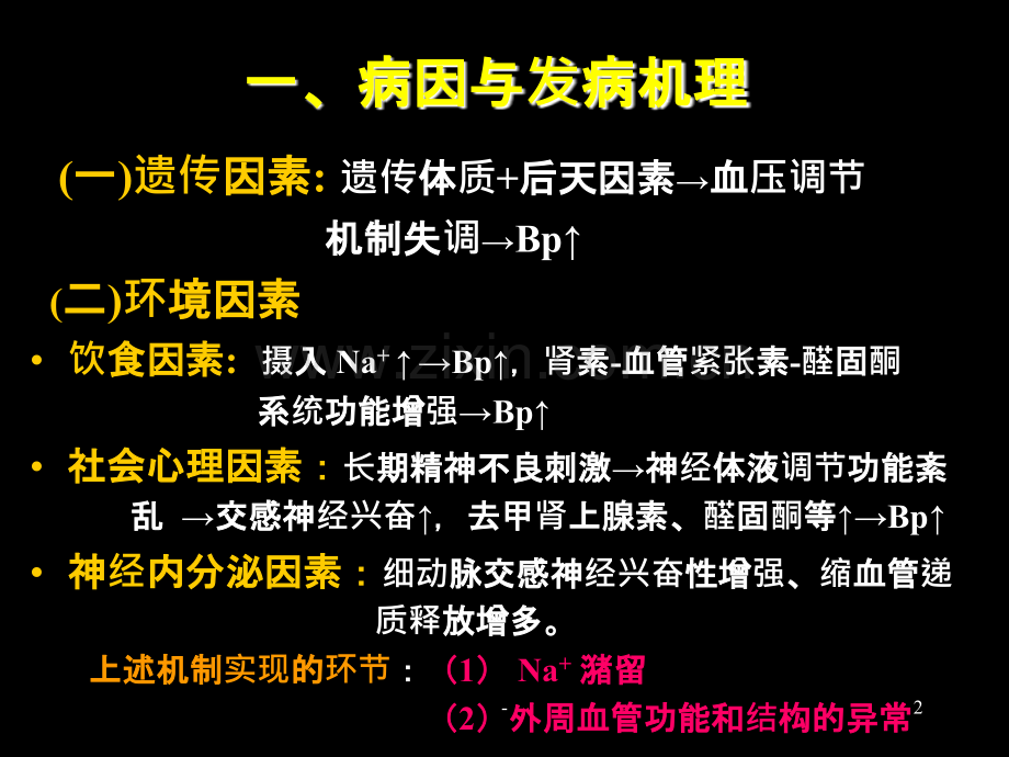 第六章心血管系统疾病-高血压病.ppt_第2页