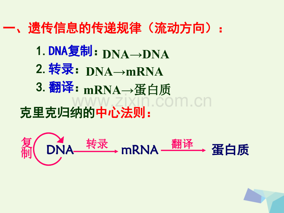 高中生物-第四章-基因的表达-4.2-基因对性状的控制-新人教版必修2.ppt_第2页