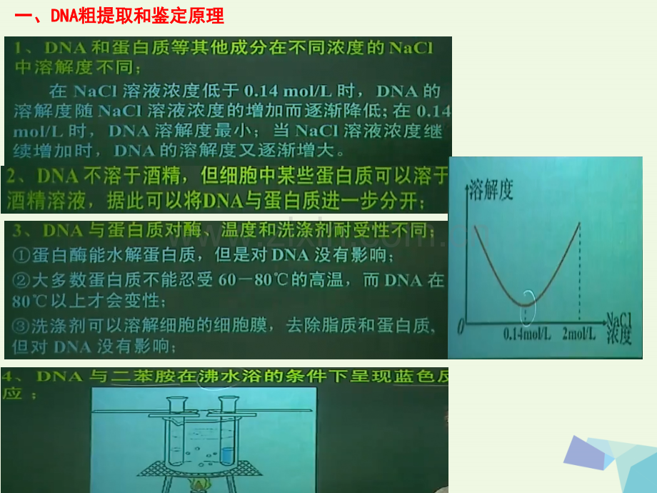 高中生物-专题五-DNA和蛋白质技术-新人教版选修1.ppt_第1页