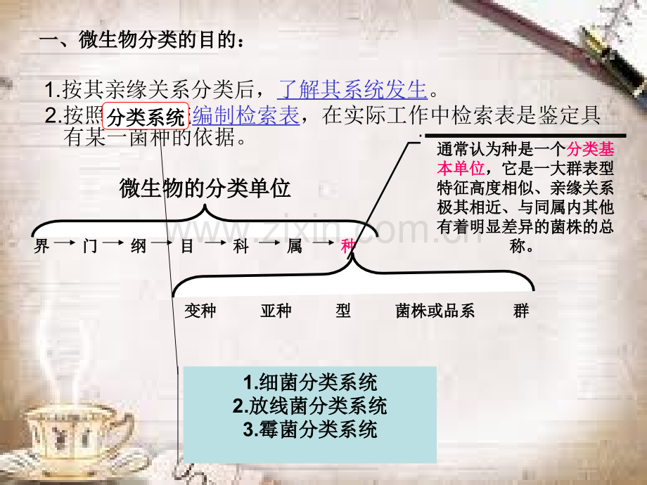 微生物的分类与命名.ppt_第2页