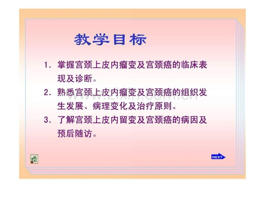 宫颈癌知识幻灯片.ppt_第3页