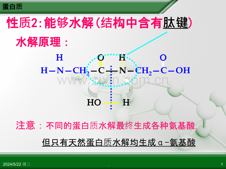 人教版高中化学选修-有机化学基础-第四章-第三节-蛋白质和核酸第课时.ppt_第1页