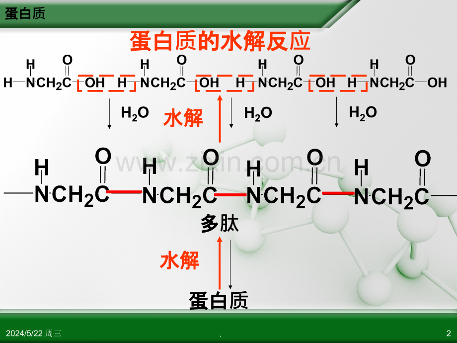 人教版高中化学选修-有机化学基础-第四章-第三节-蛋白质和核酸第课时.ppt_第2页