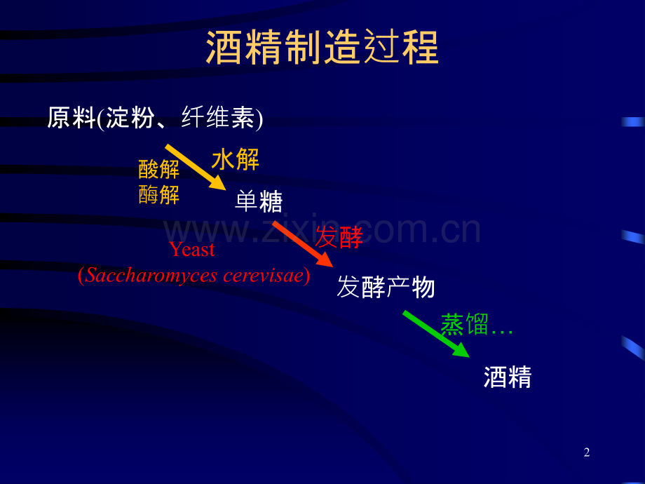 酒精发酵工艺过程-.ppt_第2页