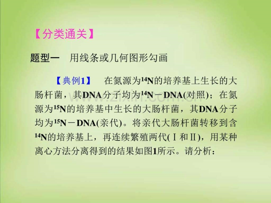 【导学教程】2016届高考生物一轮总复习-第七单元-生物.ppt_第3页