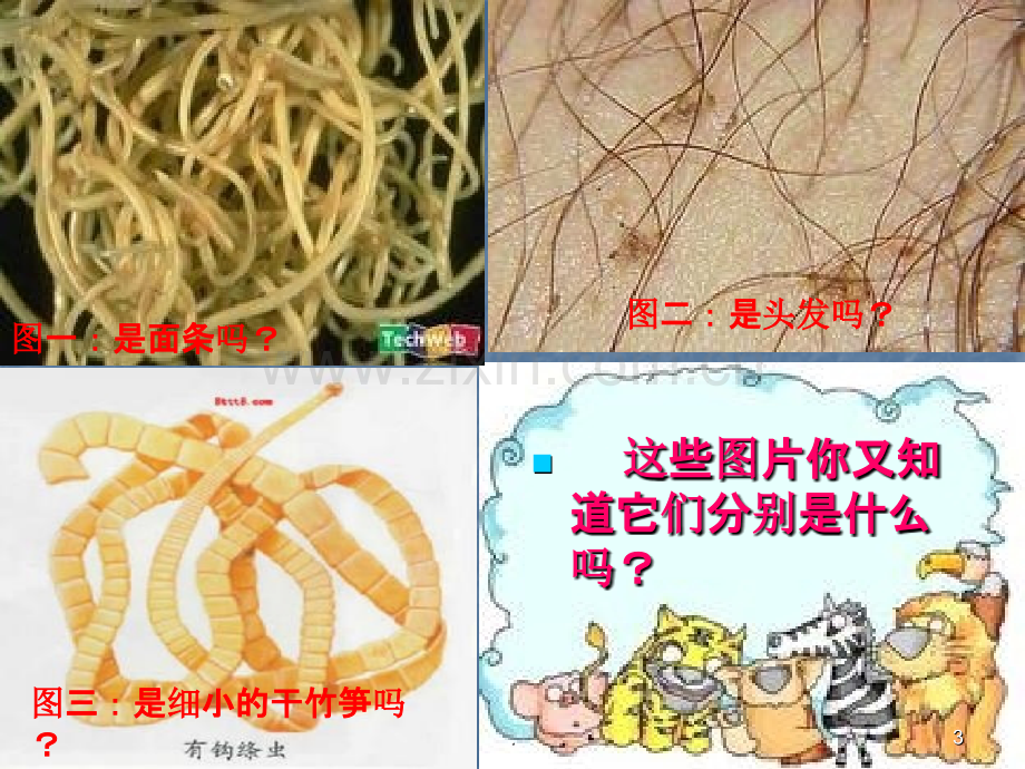 预防寄生虫病.ppt_第3页