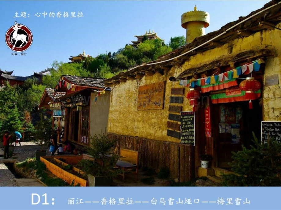 【阳睿旅行】我和松茸有个约会.ppt_第3页