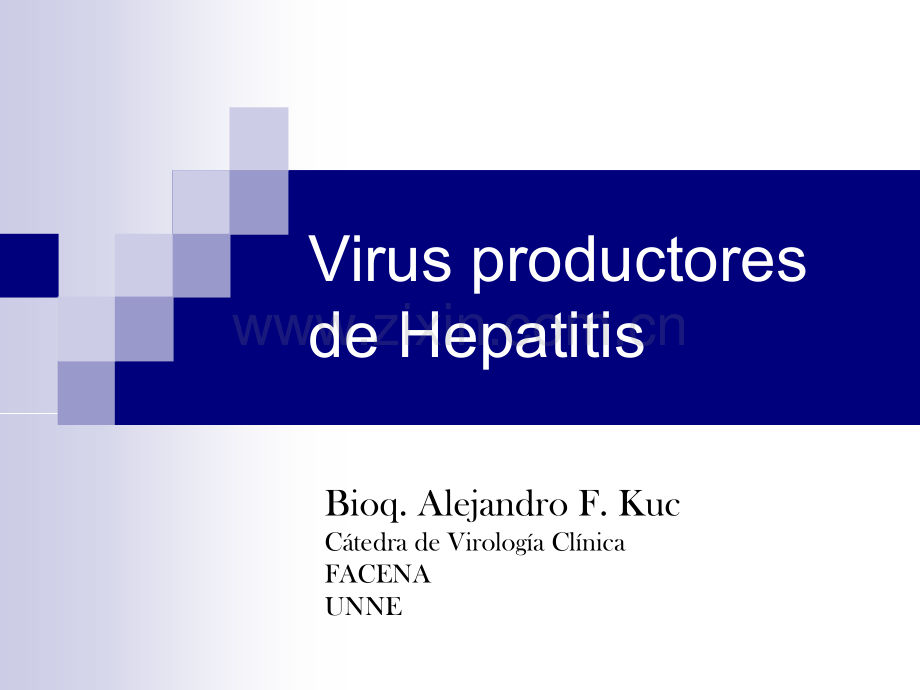 Virus-de-la-Hepatitis-B：德拉乙型肝炎病毒.ppt_第1页