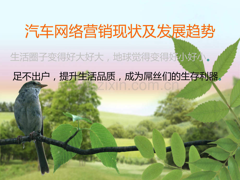 汽车网络营销.ppt_第1页