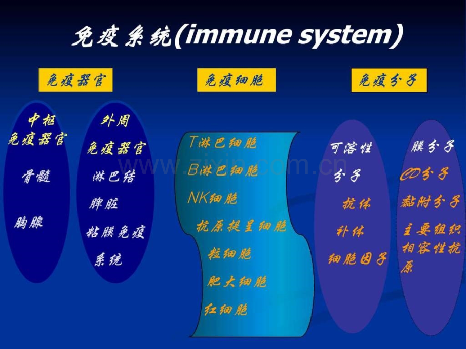 免疫学检测生物学自然科学专业资料.ppt_第2页