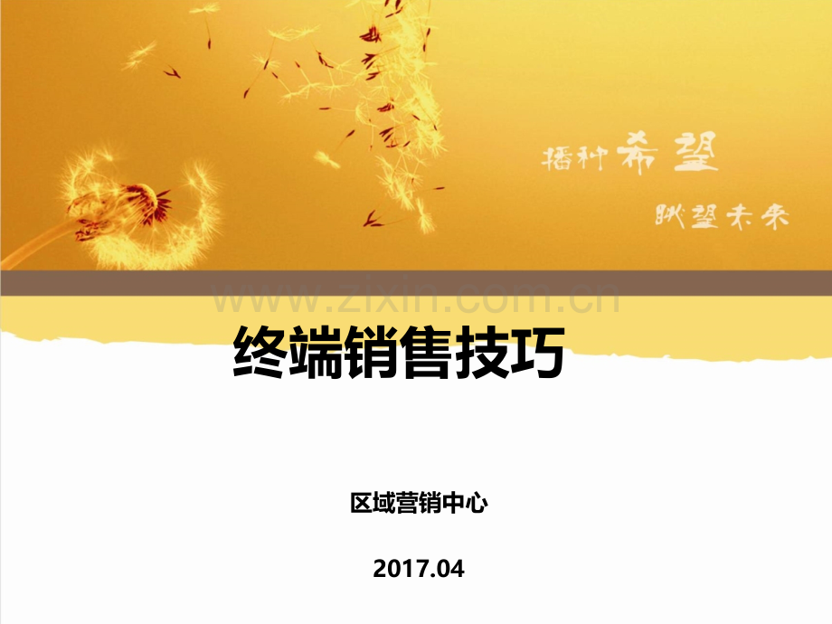 终端销售技巧.ppt_第1页