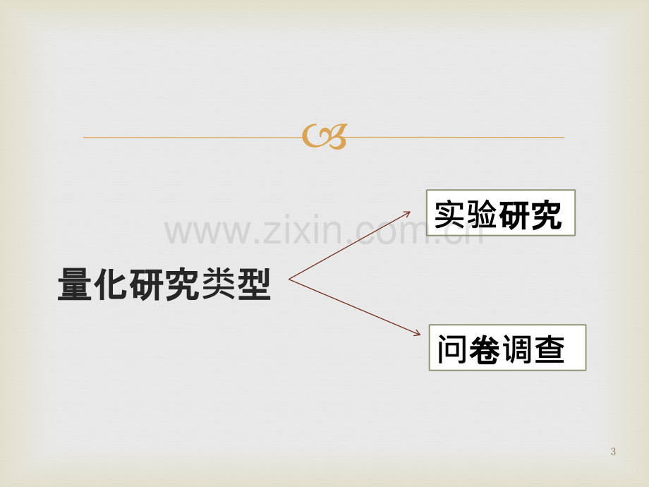 量化研究与分析-.pptx_第3页