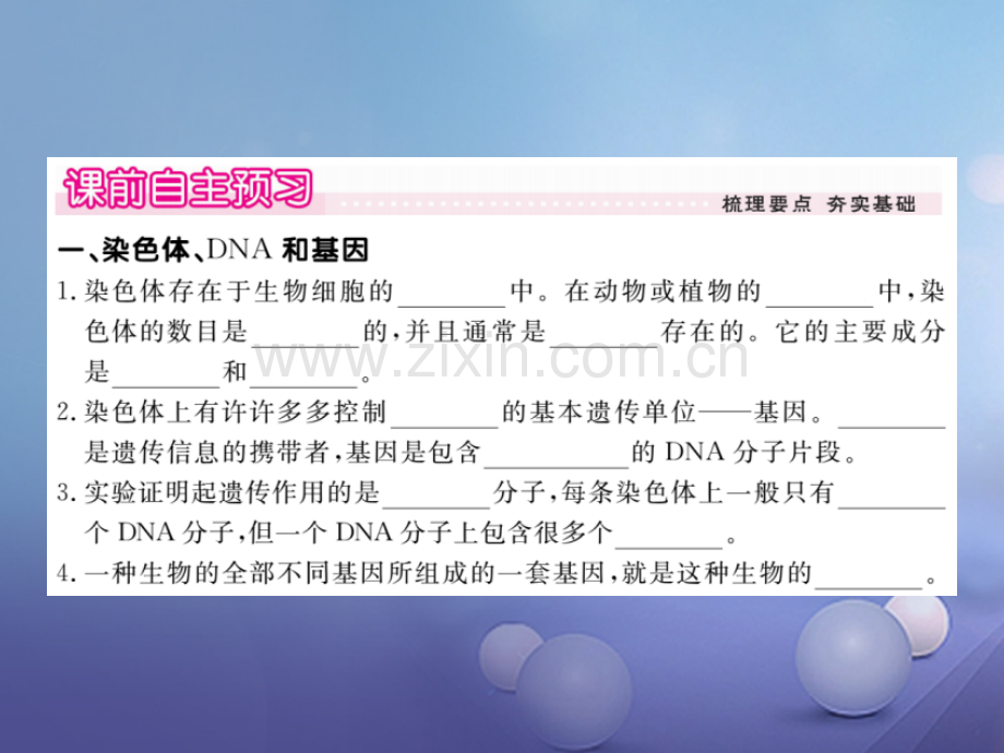 2017年秋八年级生物上册-6.20.2-性状遗传的物质基础优质北师大版.ppt_第2页