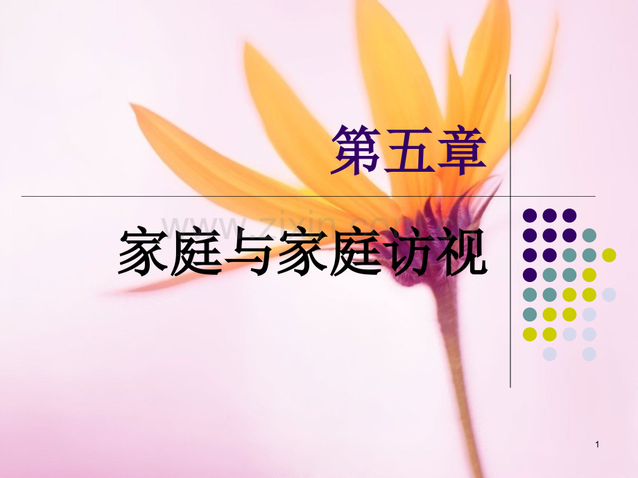 家庭与家庭访视.ppt_第1页