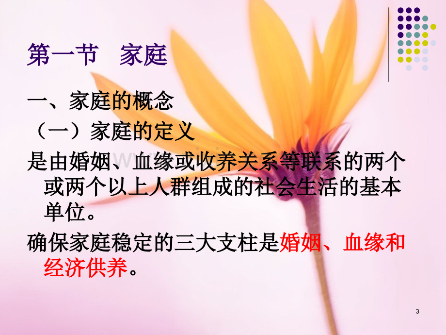 家庭与家庭访视.ppt_第3页