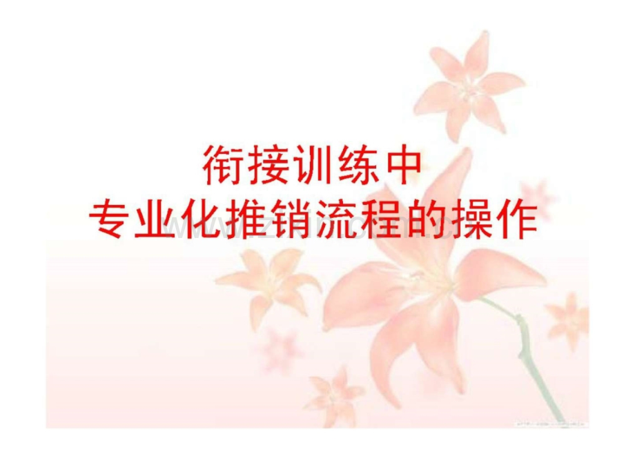 专业化推销流程1.ppt_第2页